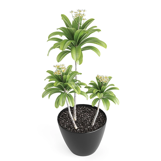 Botanical Bliss: 5-Plant Set 3D model image 5