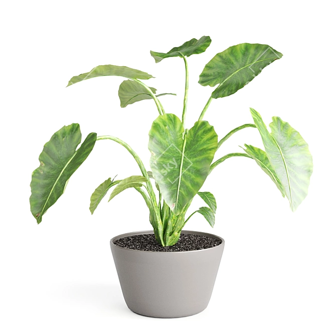 Botanical Bliss: 5-Plant Set 3D model image 6