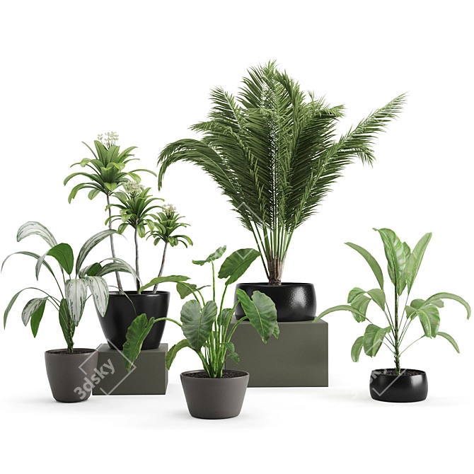 Botanical Bliss: 5-Plant Set 3D model image 8