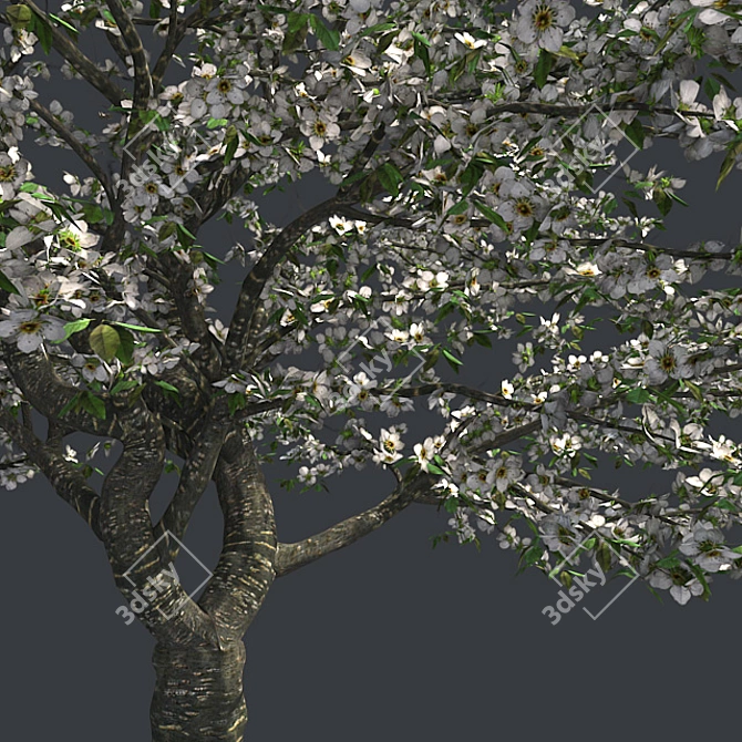 Cherry Blossom Dream Tree 3D model image 3