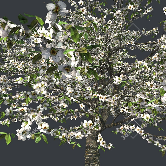 Cherry Blossom Dream Tree 3D model image 4