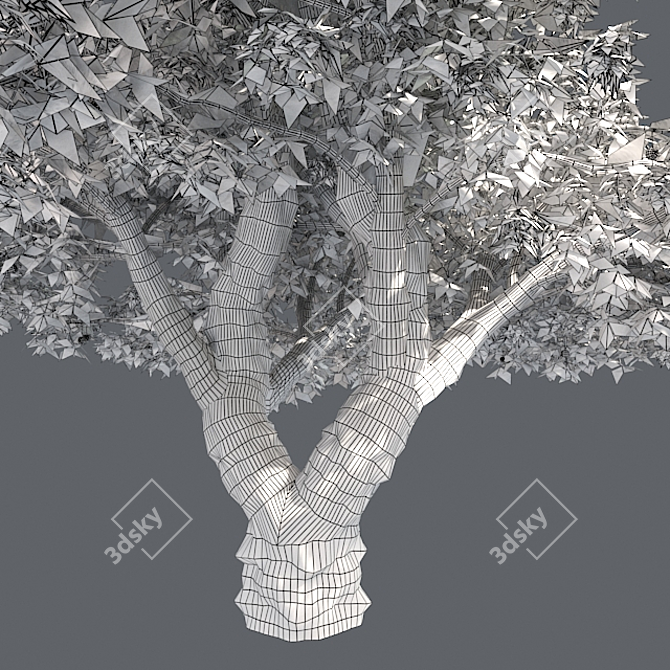 Bountiful Cherry Tree: Realistic, Optimized, High-Quality 3D model image 5