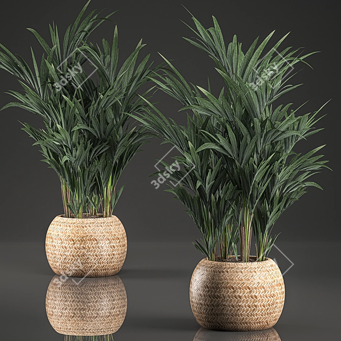 Tropical Palm Collection in Basket 3D model image 1