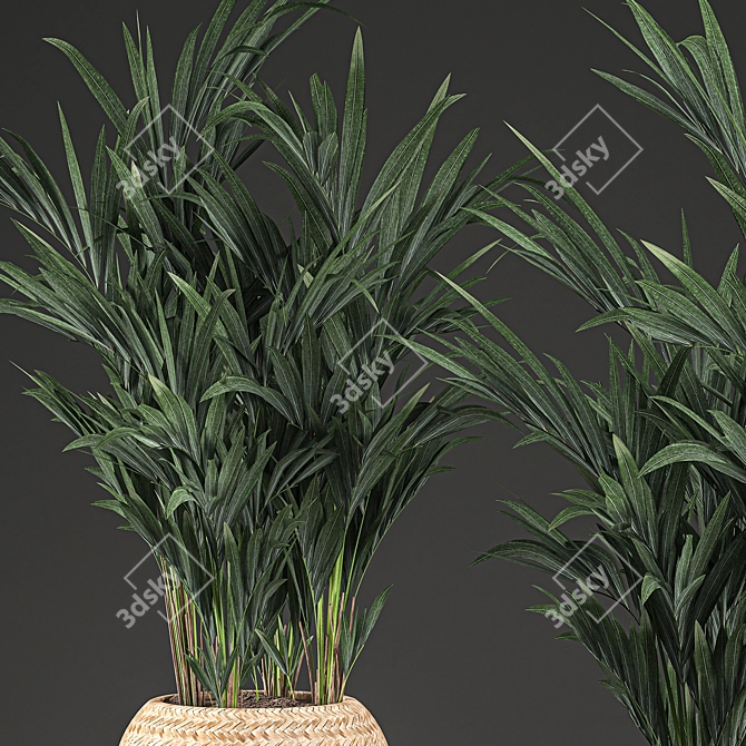 Tropical Palm Collection in Basket 3D model image 3