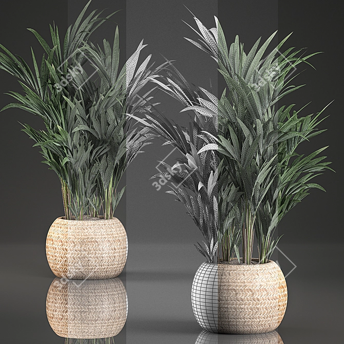 Tropical Palm Collection in Basket 3D model image 4