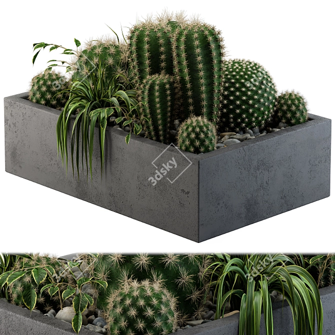 Desert Dream Cactus Set 3D model image 2