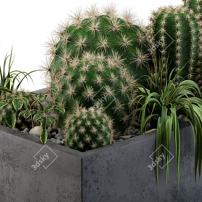 Desert Dream Cactus Set 3D model image 3