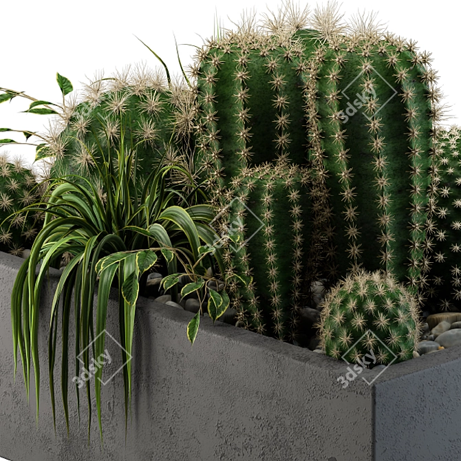 Desert Dream Cactus Set 3D model image 4