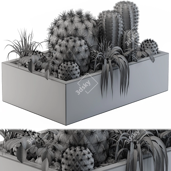 Desert Dream Cactus Set 3D model image 5