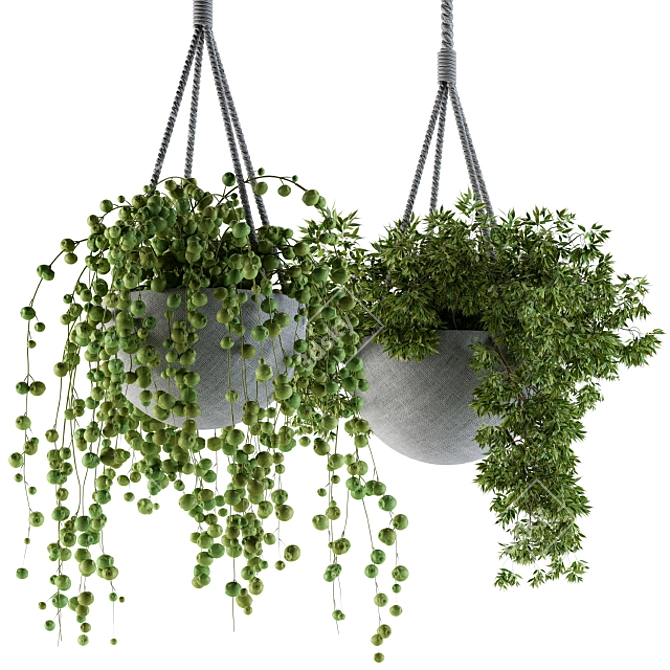 Title: Rustic Rope Hanging Pot 3D model image 1