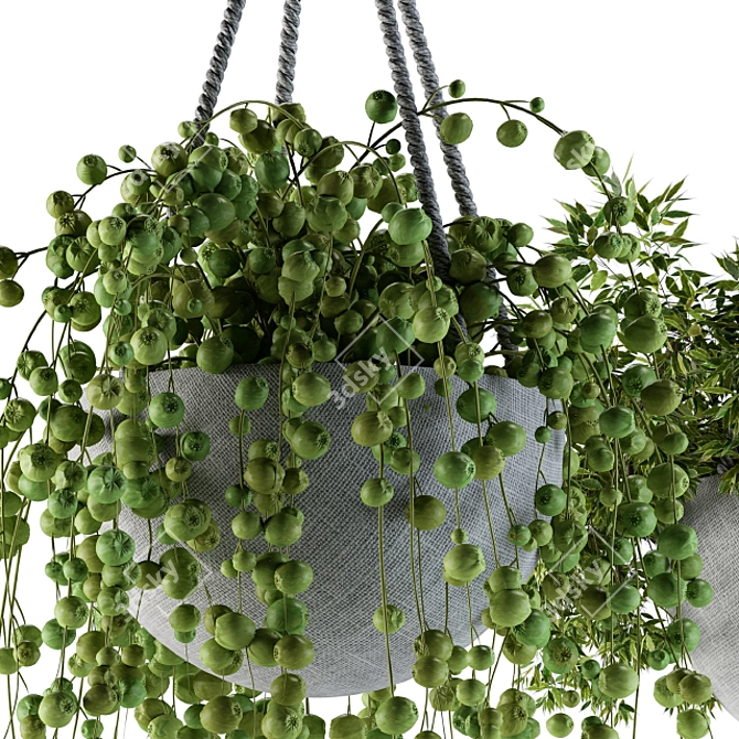 Title: Rustic Rope Hanging Pot 3D model image 2