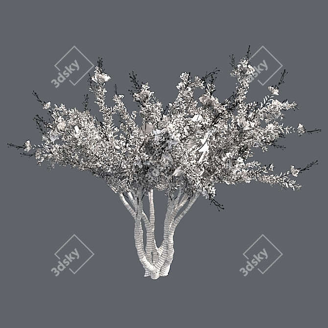 Luscious Crape Myrtle Tree 3D model image 5