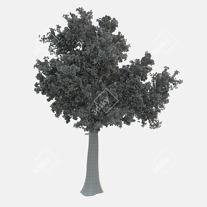 Corona Render Tree: 737.48 cm Height 3D model image 3