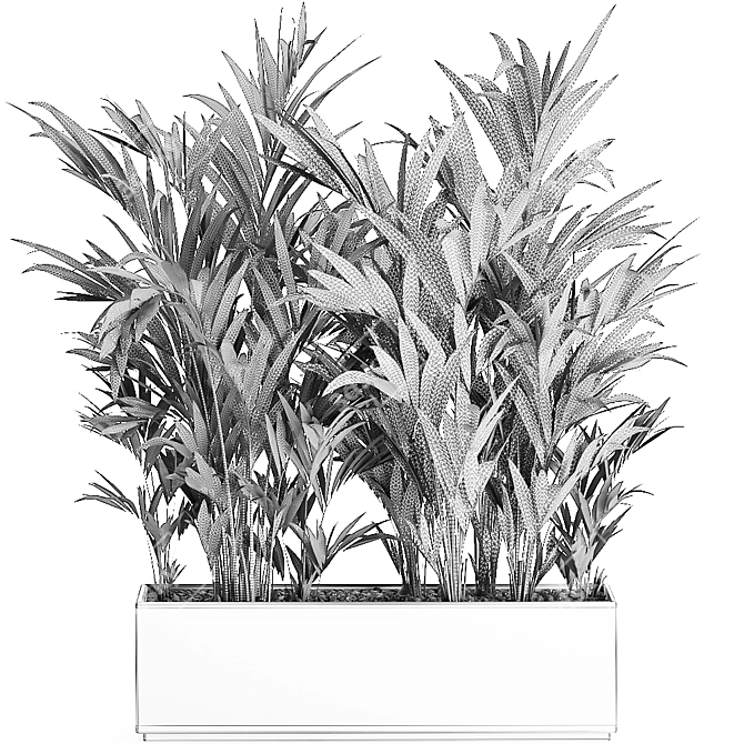 Tropical Palm Collection in White Pots 3D model image 4