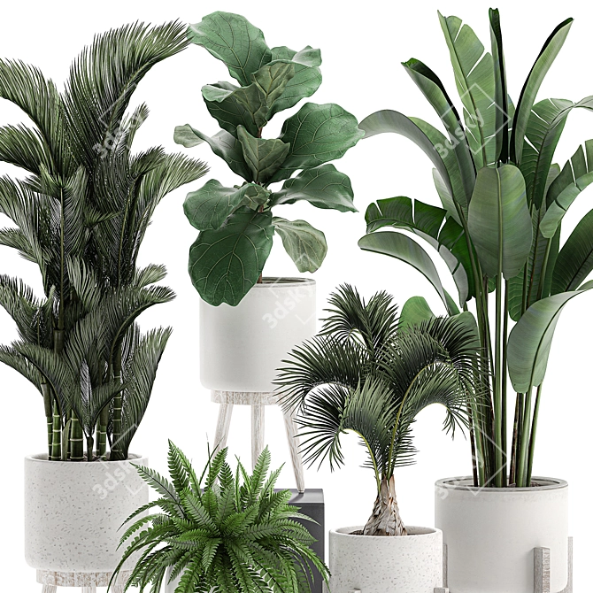 Tropical Plant Collection in White Pots 3D model image 2