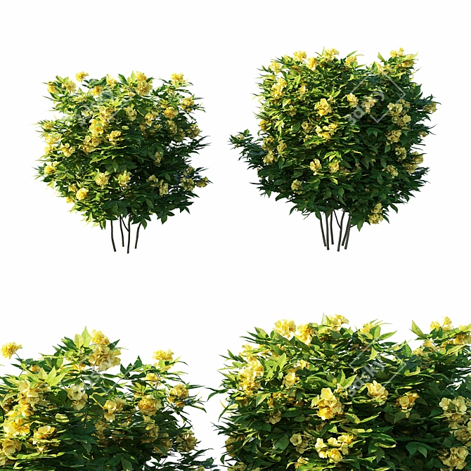 Tecoma Stans Tree: Lifelike 3D Model 3D model image 1