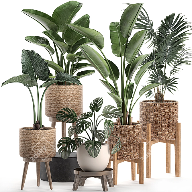 Tropical Plant Basket Collection 3D model image 1