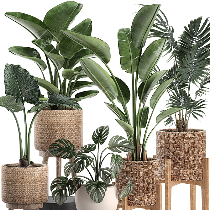 Tropical Plant Basket Collection 3D model image 2