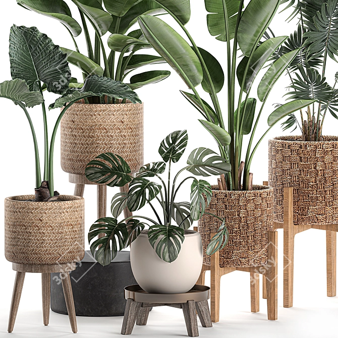 Tropical Plant Basket Collection 3D model image 3