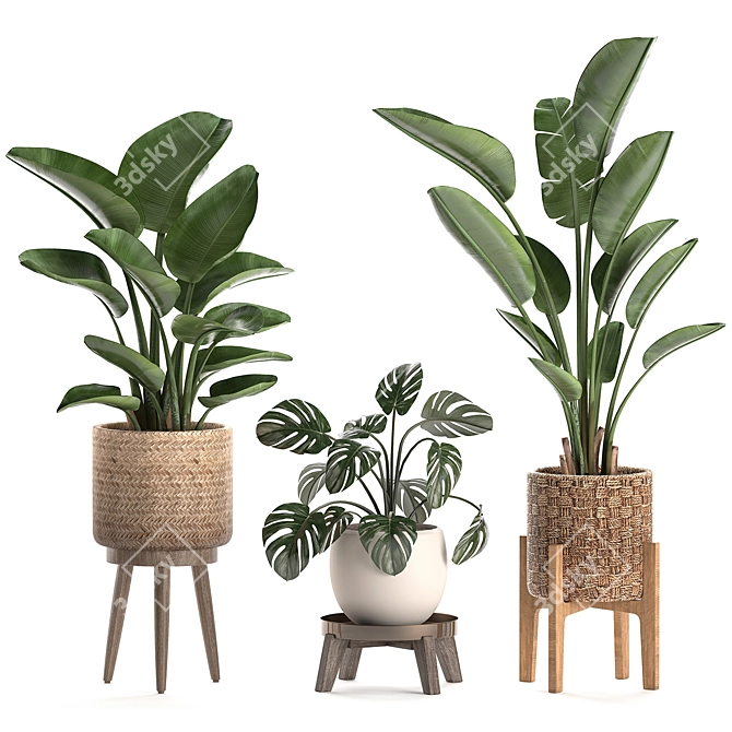 Tropical Plant Basket Collection 3D model image 4