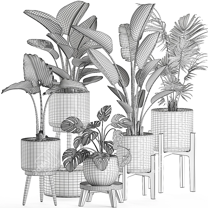 Tropical Plant Basket Collection 3D model image 5