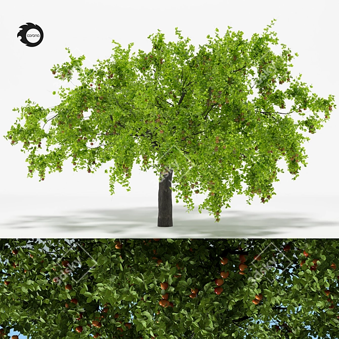 Vintage Apple Tree 5S Sculpture 3D model image 1