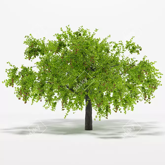 Vintage Apple Tree 5S Sculpture 3D model image 2
