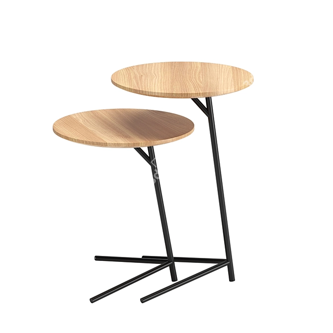 ASHA Coffee Table Set 3D model image 2