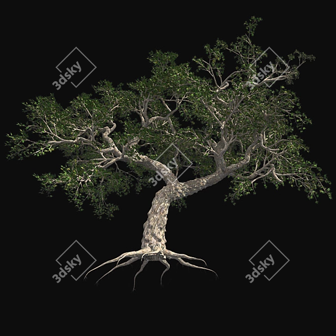 Japanese Maple Tree: Premium Quality 3D model image 3