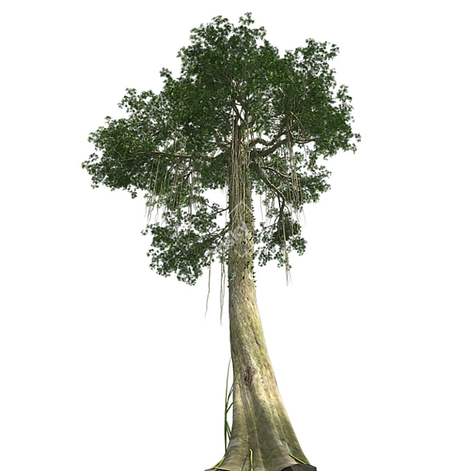 Optimized Kapok Tree 3D Model 3D model image 2