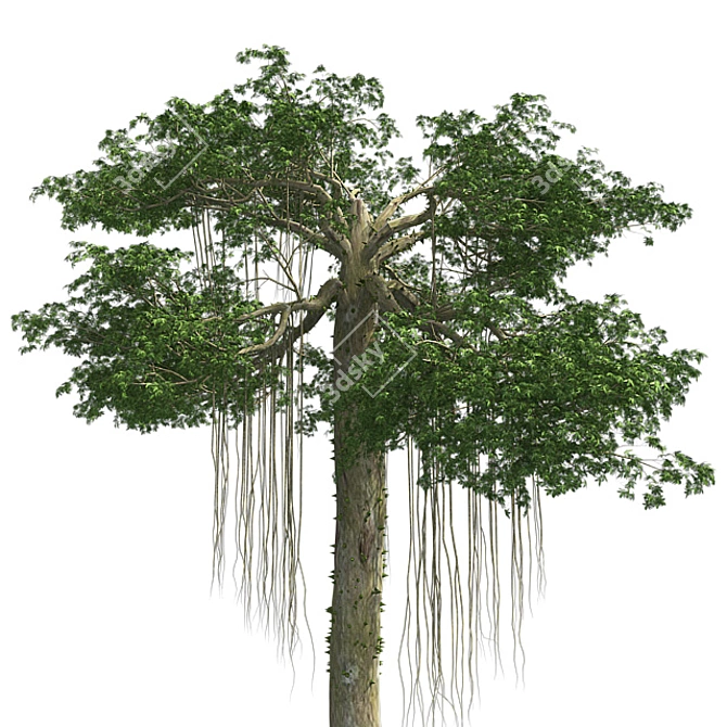 Optimized Kapok Tree 3D Model 3D model image 4