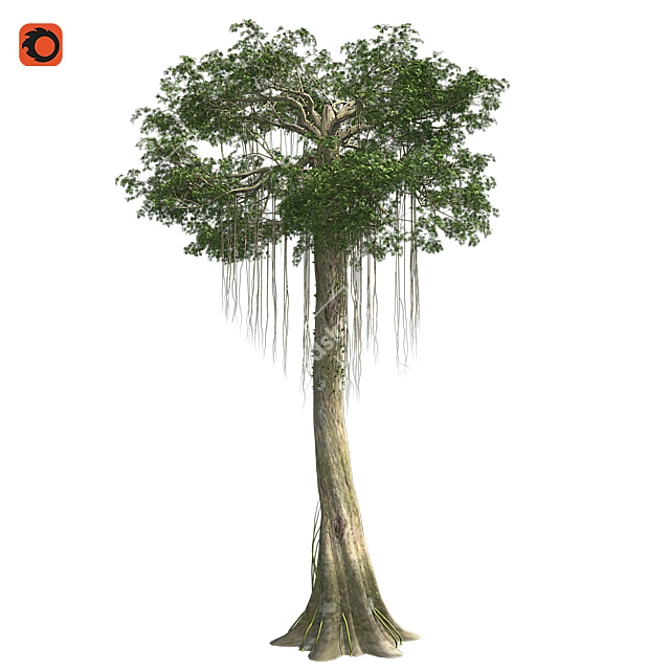 Optimized Kapok Tree 4K Textures 3D model image 1