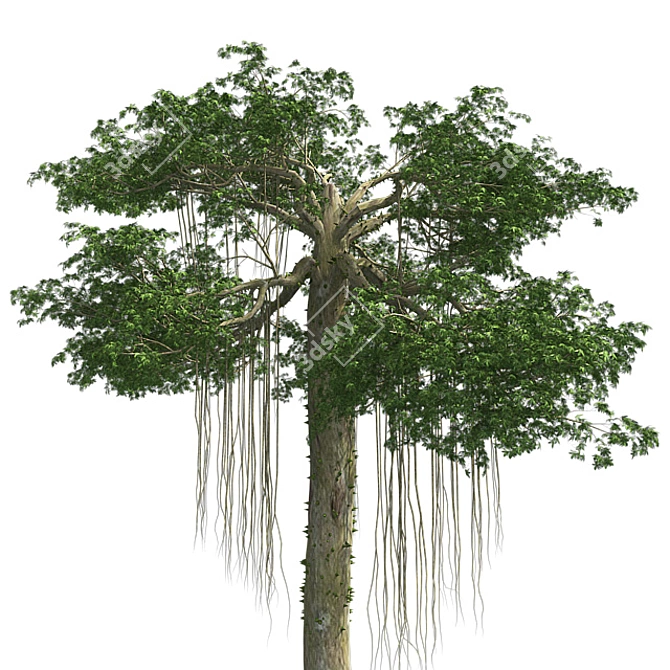 Optimized Kapok Tree 4K Textures 3D model image 4