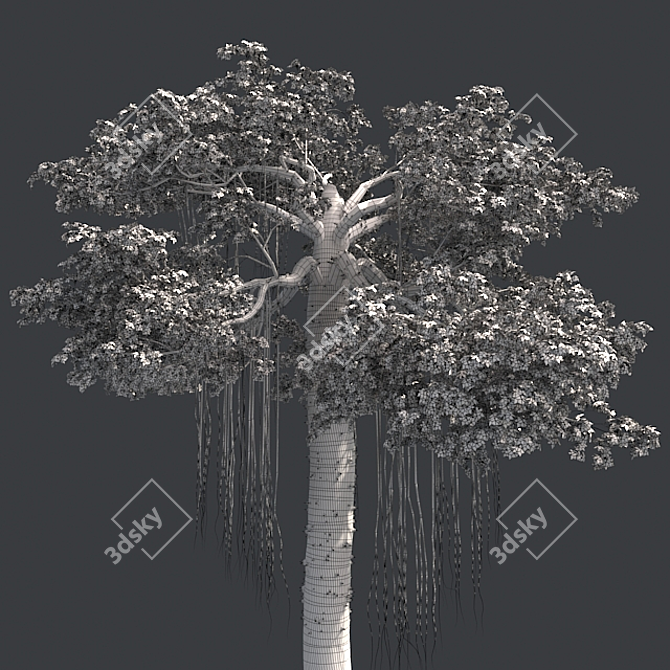 Optimized Kapok Tree 4K Textures 3D model image 5