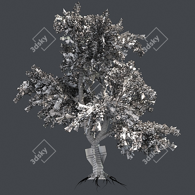 Zen Garden Katsura Tree 3D model image 5