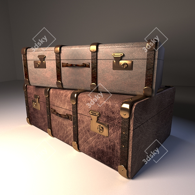Leather Travel Bags 3D model image 1