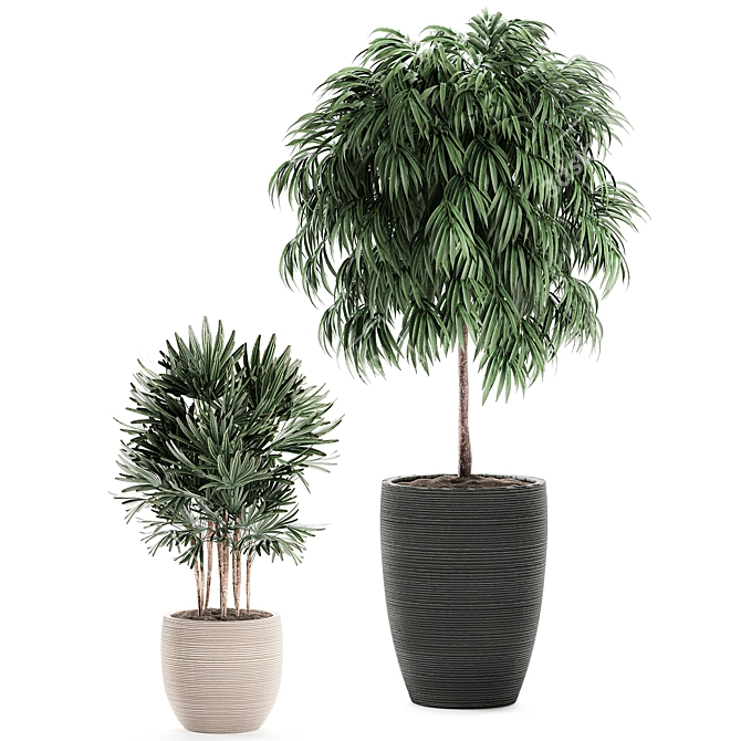 Exotic Plant Collection: Rhapis, Ficus, Nerium 3D model image 4