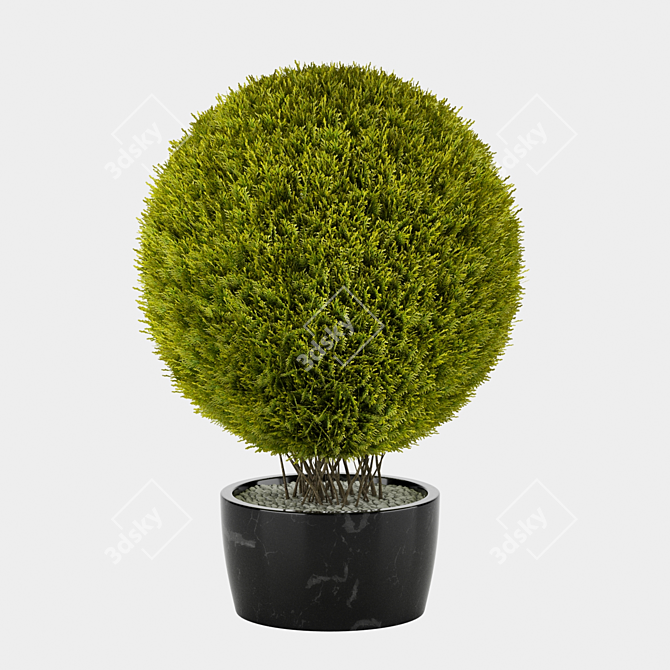 Giant Thuja Folding Planter 3D model image 1