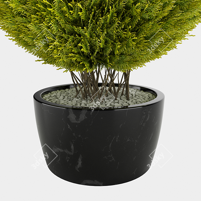 Giant Thuja Folding Planter 3D model image 2