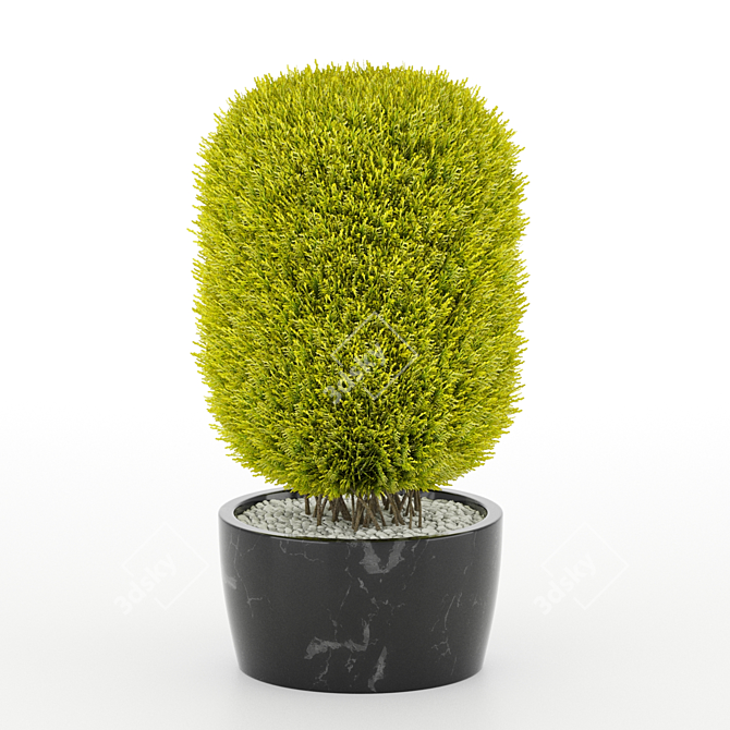 Giant Thuja Cylinder: Versatile and Striking 3D model image 1