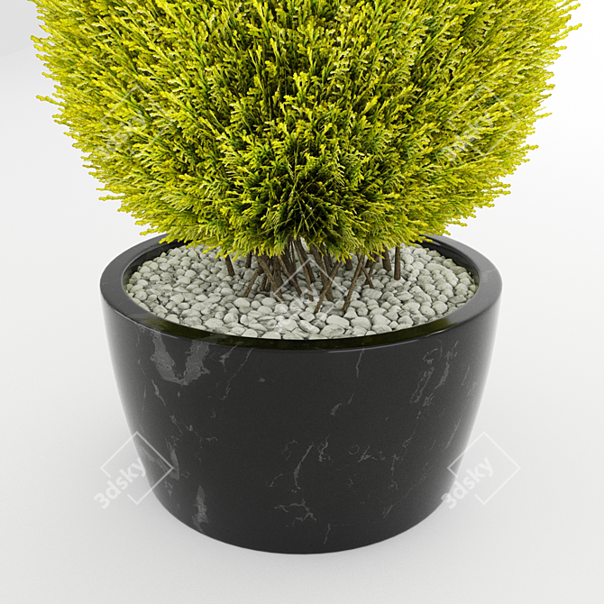 Giant Thuja Cylinder: Versatile and Striking 3D model image 2