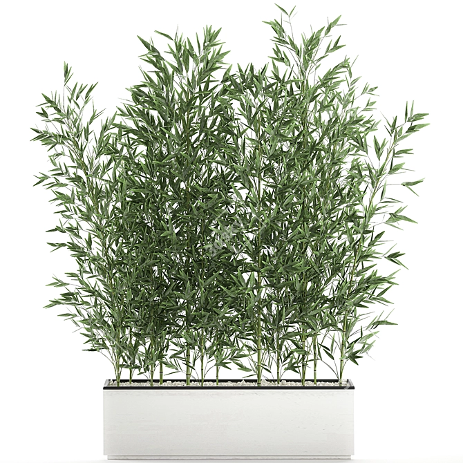 Exotic Bamboo Plant in White Vase 3D model image 1