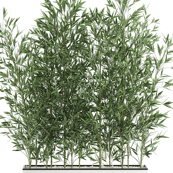 Exotic Bamboo Plant in White Vase 3D model image 3