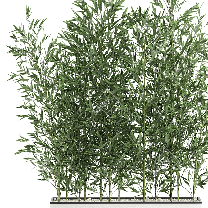 Exotic Bamboo Plant in White Vase 3D model image 4