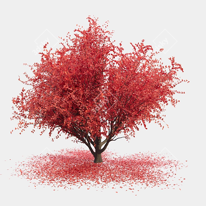 Sculpted Landscape Tree 3D model image 2