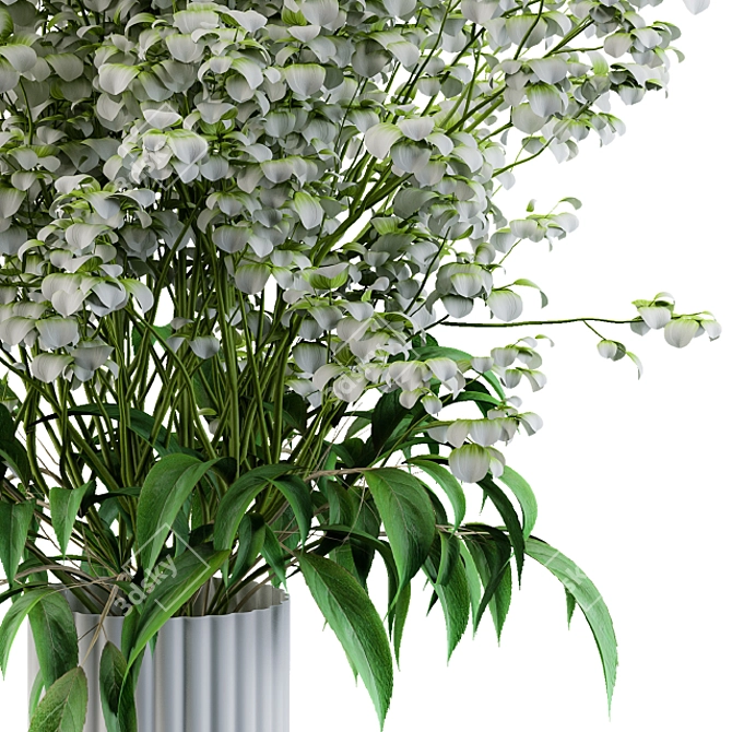 Delicate White Floral Bouquet 3D model image 2