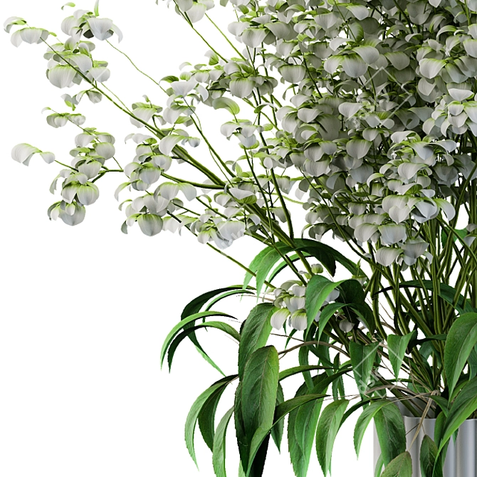 Delicate White Floral Bouquet 3D model image 3