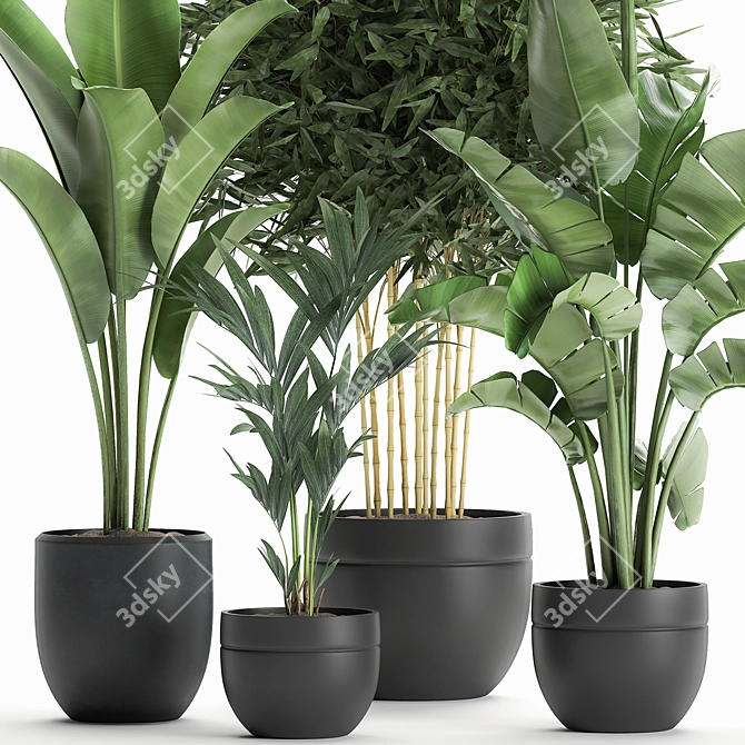 Exotic Indoor Plant Collection in Black Vase 3D model image 2