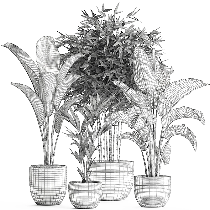 Exotic Indoor Plant Collection in Black Vase 3D model image 5