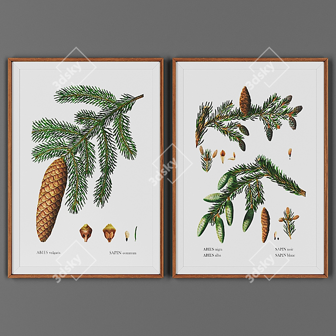 Rustic Frame Duo: Wooden Picture Set 3D model image 1